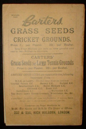 1889 Wisden